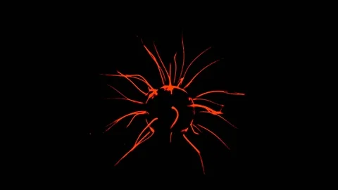Plasma Ball With Moving Energy Rays, tesla coil, video effects, 4K Vidéo 75809234