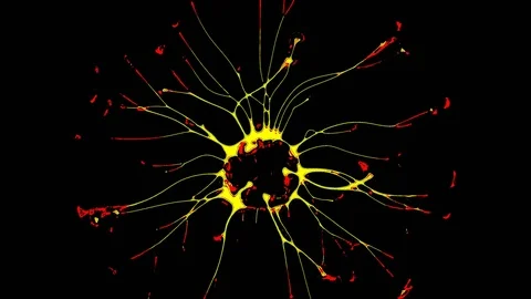 Plasma Ball With Moving Energy Rays, tesla coil, video effects, 4K Vidéo 75809332