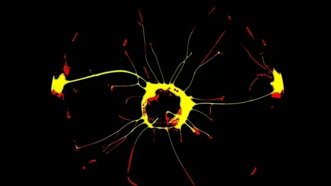 Plasma Ball With Moving Energy Rays, tesla coil, video effects, 4K Vidéo 75809349