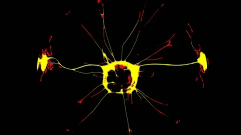 Plasma Ball With Moving Energy Rays, tesla coil, video effects, 4K Vidéo 75809411