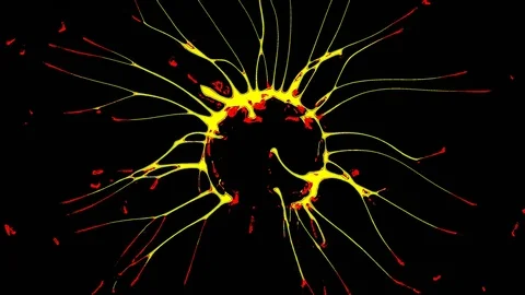 Plasma Ball With Moving Energy Rays, tesla coil, video effects, 4K Vidéo 75809713