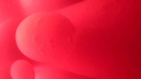 Plasma bubbles Video stock 23903808