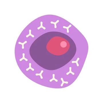 Plasma cell activity producing antibodies illustration Stock Illustration