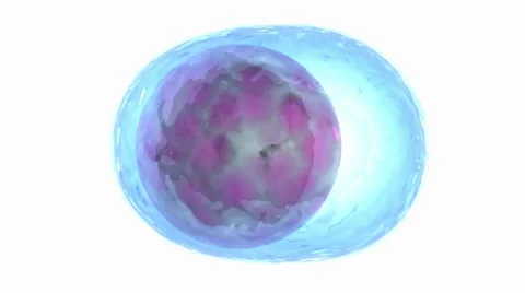 Plasma Cell Stock Footage 26229576