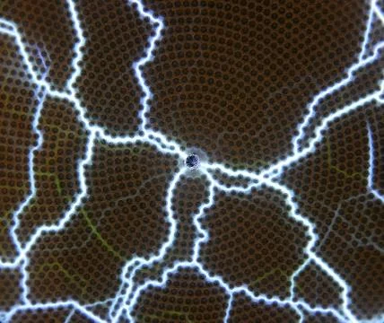Plasma discharge squared Stock Photos