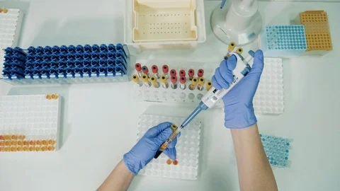 Plasma is getting poured into glass tubes by a lab worker Video stock 127569002