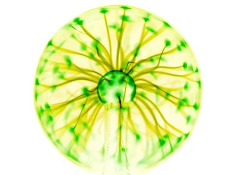 Plasma lamp Stock Illustration