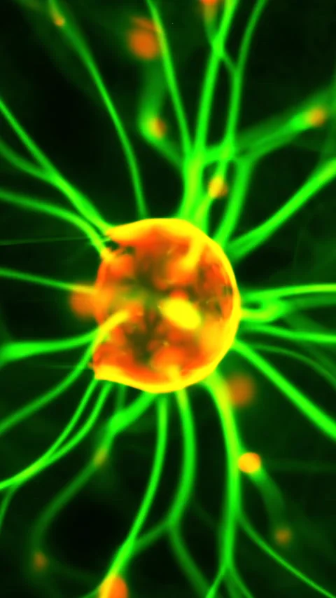 A plasma lamp with moving green light beams. Vertical video. Stock Footage 274879212