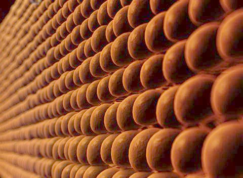 Plasma Membrane Of A Cell Stock Illustration