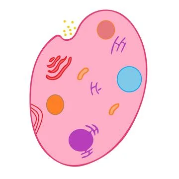 Plasmodium isolated on white background science illustration - 1 Stockillustratie