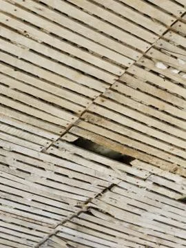 Plaster and lath ceiling Foto stock
