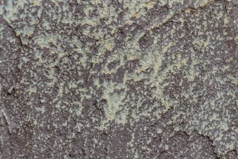 Plaster background, brown textured plaster wall, copy space, text space Stock Photos
