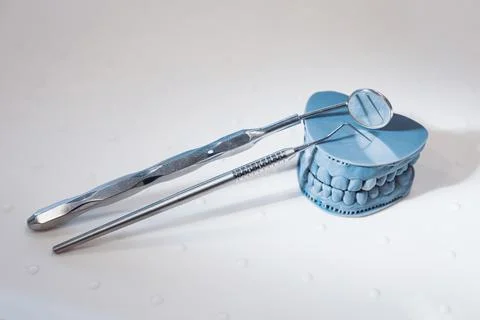 Plaster cast of jaws model, tooth explorer and dental mirror Stock Photos