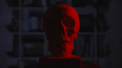 Plaster cast of the skull. Red color floats across the skull. Front face shot Stock Footage 124951453