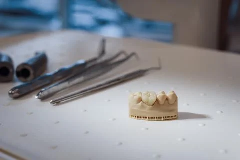 Plaster cast of teeth sample and dental tools on table Stock Photos
