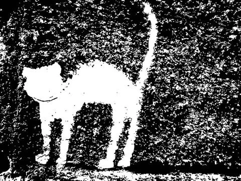 Plaster cat plaster cat, vector art illustration; more drawings in my gall... Stock Photos