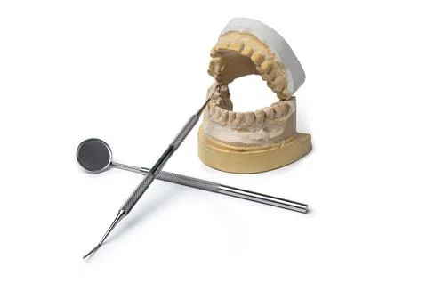 Plaster Dental Impression Cast Model with Mirror and Probe Instruments Stock Photos
