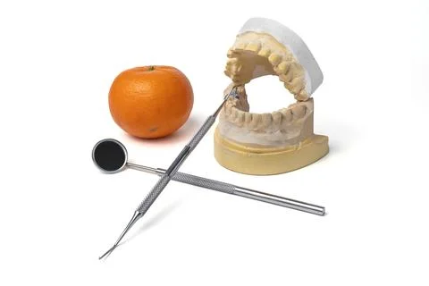 Plaster Dental Impression Cast Model with Mirror and Probe Instruments Foto stock