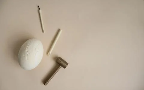 Plaster dinosaur egg with tools for excavation on a neutral background Stock Photos