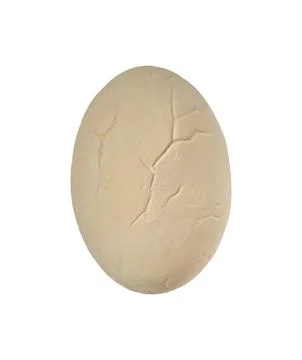 Plaster dinosaur egg on a white background with visible cracks and texture Stock Photos