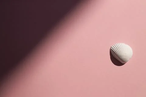 Plaster figure of a shell on a pink background Stock Photos