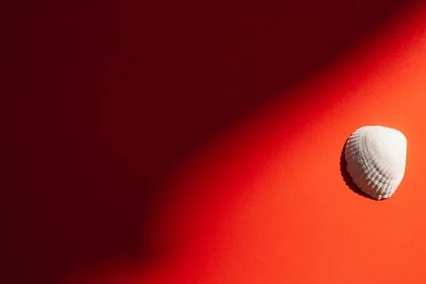 Plaster figure of a shell on a red background Stock Photos
