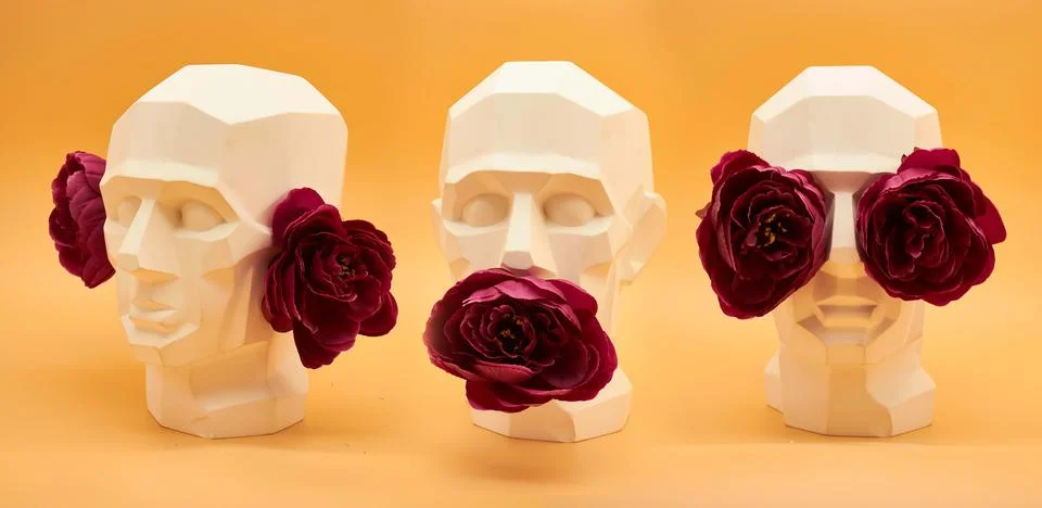 Plaster head. Stock Photos