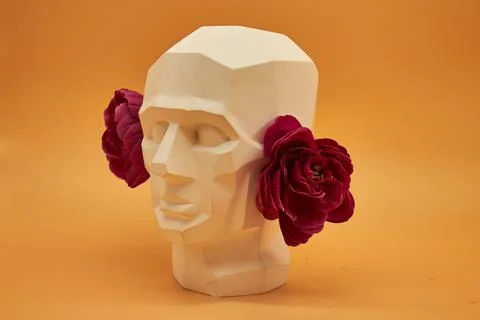 Plaster head. Stock Photos