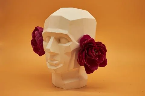 Plaster head. Stock Photos