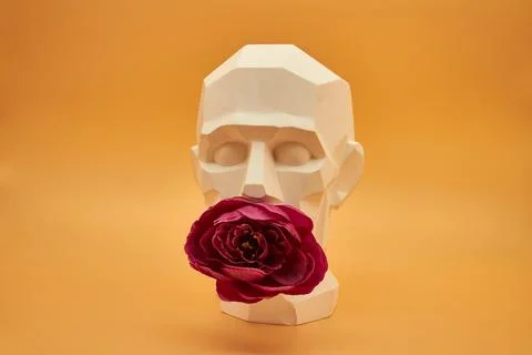 Plaster head. Stock Photos