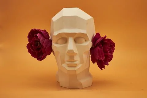 Plaster head. Stock Photos