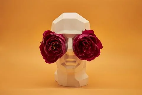 Plaster head. Stock Photos