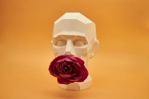 Plaster head. Stock Photos