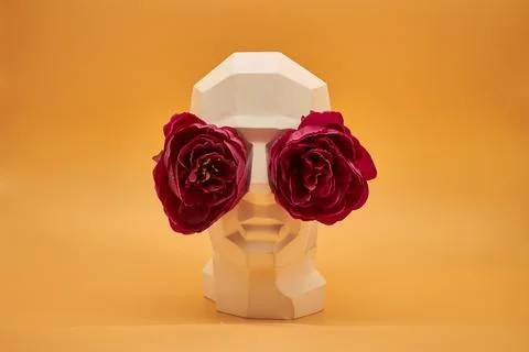 Plaster head. Stock Photos