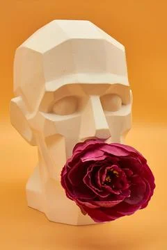Plaster head. Stock Photos