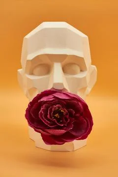 Plaster head. Stock Photos