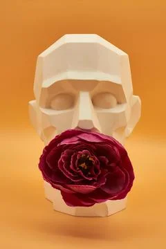 Plaster head. Stock Photos
