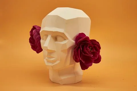 Plaster head. Stock Photos