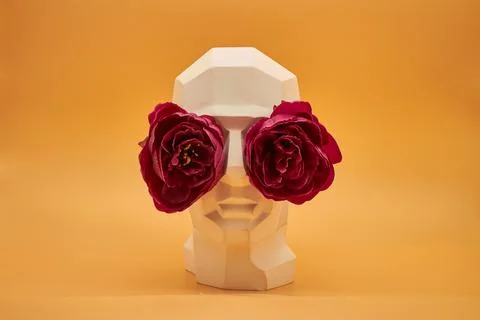 Plaster head. Stock Photos