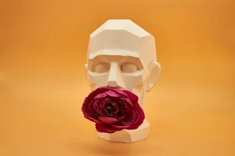 Plaster head. Stock Photos