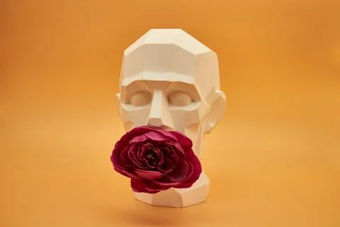 Plaster head. Stock Photos