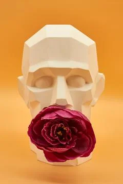 Plaster head. Stock Photos