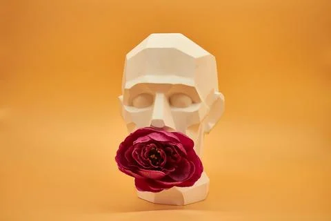 Plaster head. Stock Photos