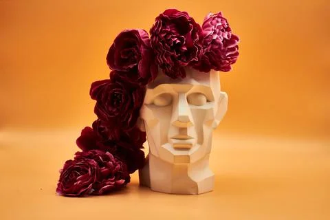 Plaster head. Stock Photos