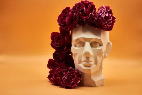 Plaster head. Stock Photos