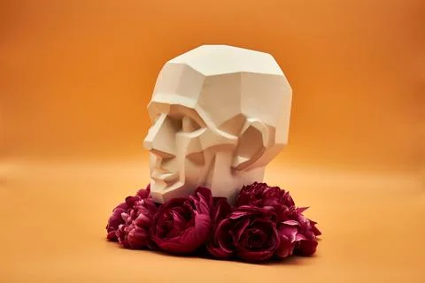 Plaster head. Stock Photos