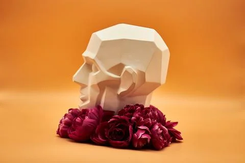Plaster head. Stock Photos