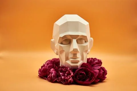 Plaster head. Stock Photos
