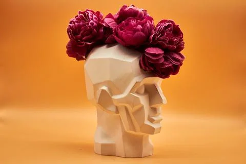 Plaster head. Stock Photos