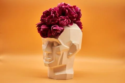 Plaster head. Stock Photos